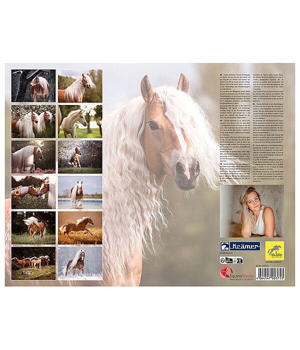 Haflinger Kalender 2025