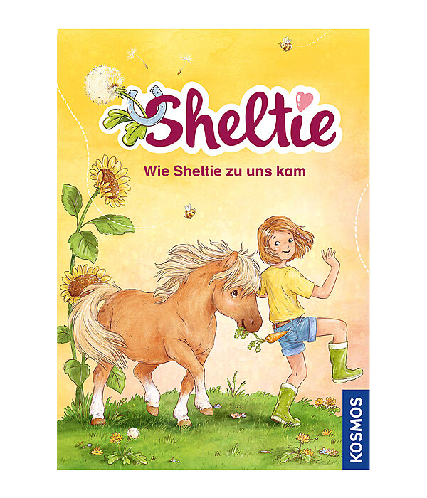 Sheltie - Wie Sheltie zu uns kam