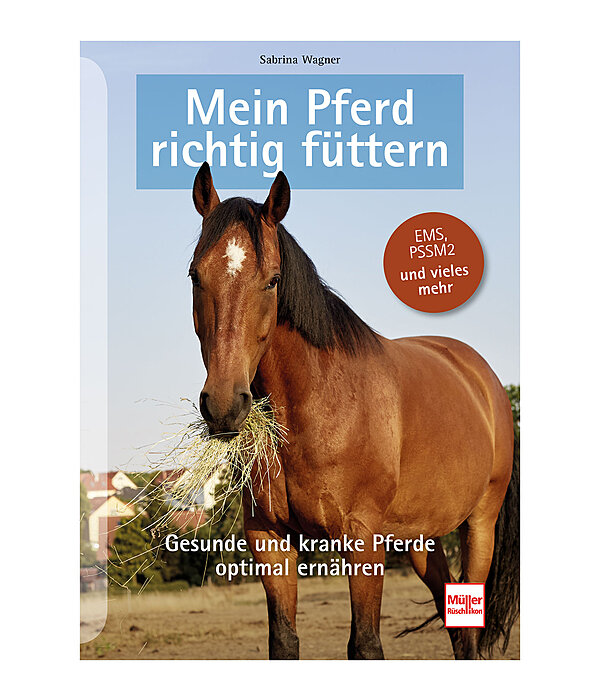 Mein Pferd richtig fttern