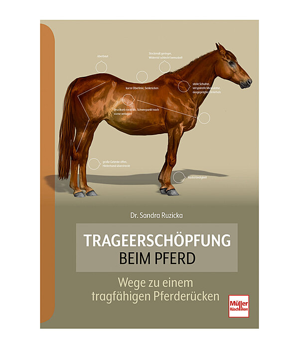 Trageerschöpfung beim Pferd