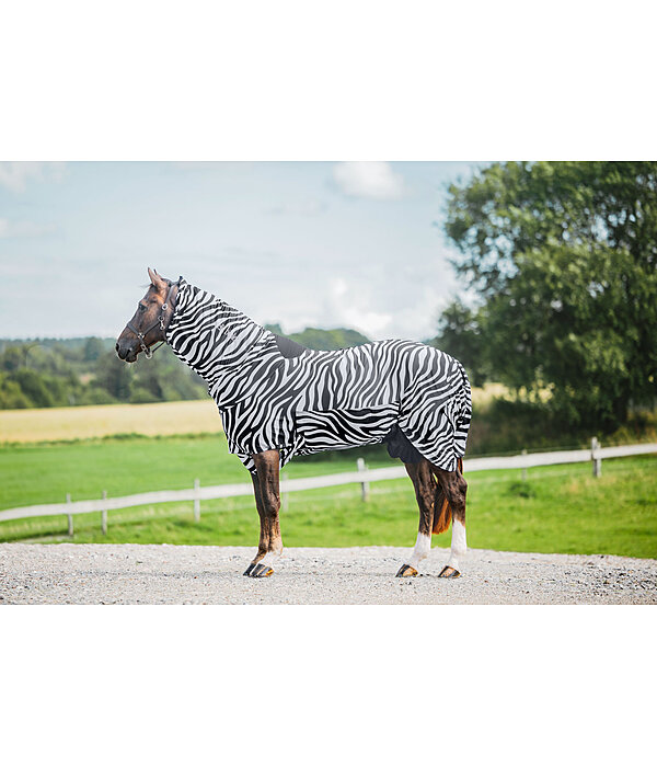 Zebra-Ekzemerdecke Gibson II