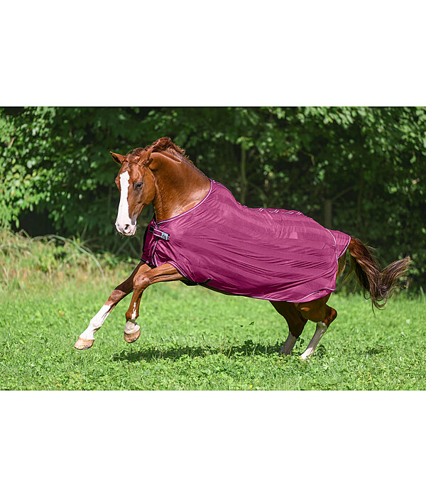 Fliegendecke Economy Light