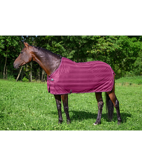 Fliegendecke Economy Light