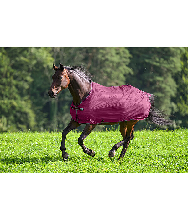 Fliegendecke Economy Light