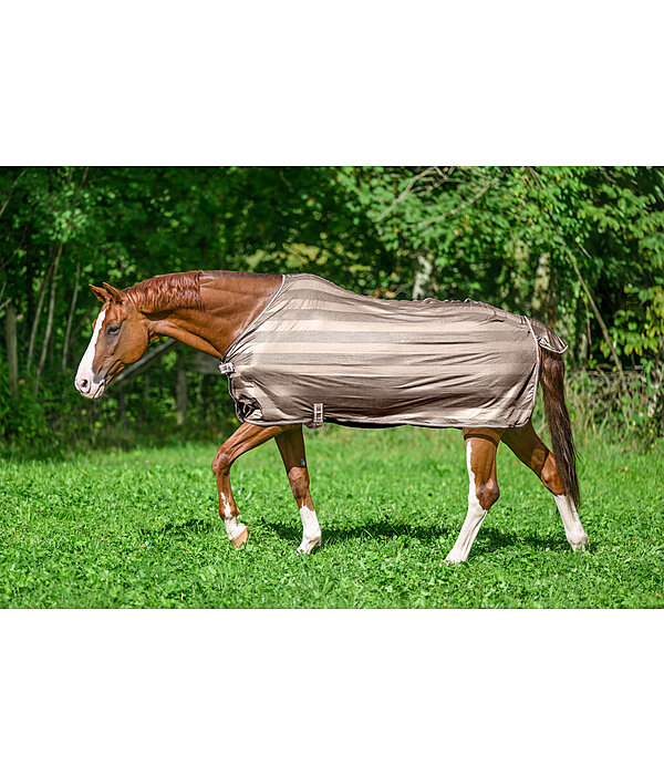 Fliegendecke Economy Light