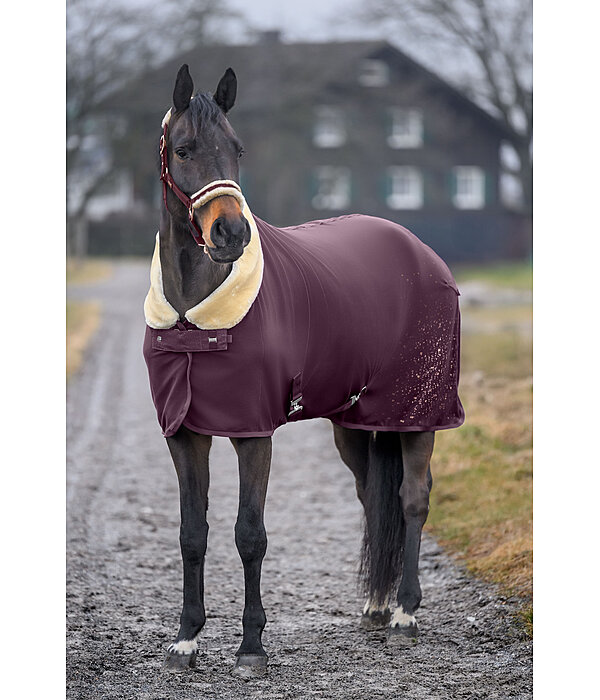 Funktions-Fleece-Abschwitzdecke Sparkling II