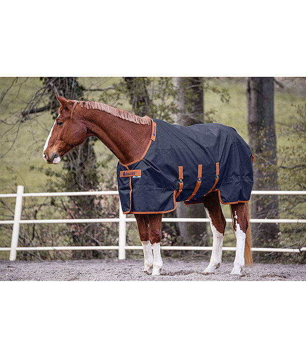 X-Range Turnout Light, 0 g