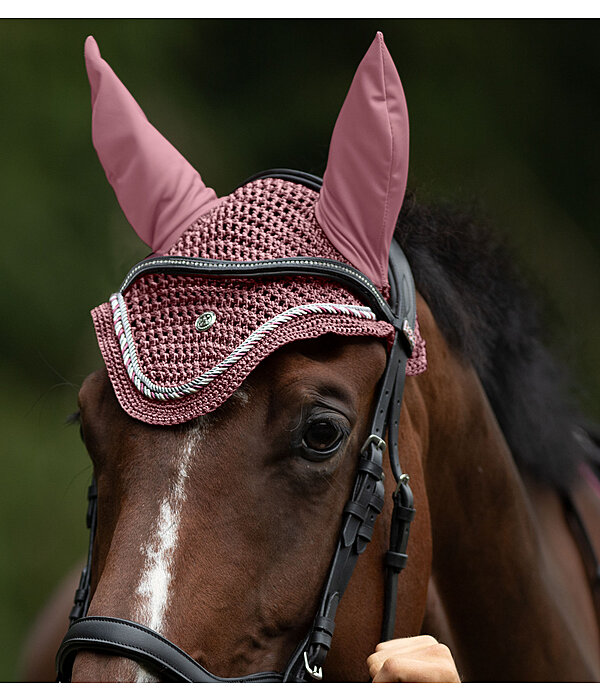 Fliegenhaube Coin