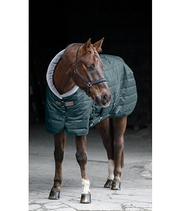 Stalldecke Stay Cozy