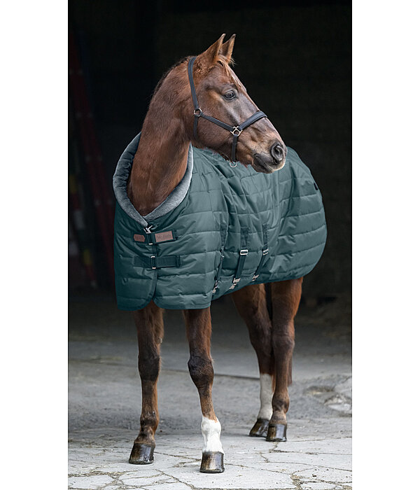 Stalldecke Stay Cozy