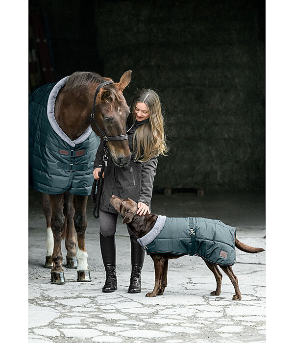 Stalldecke Stay Cozy