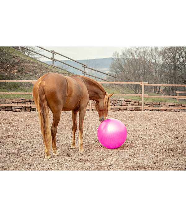 Groer Pferdespielball