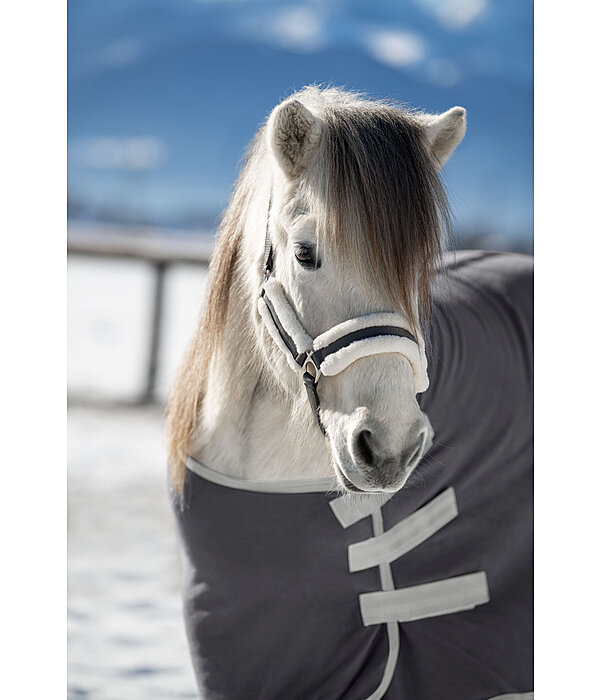 Teddyfleece Halfter Freisting