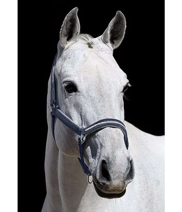 Halfter Cord & Glamour