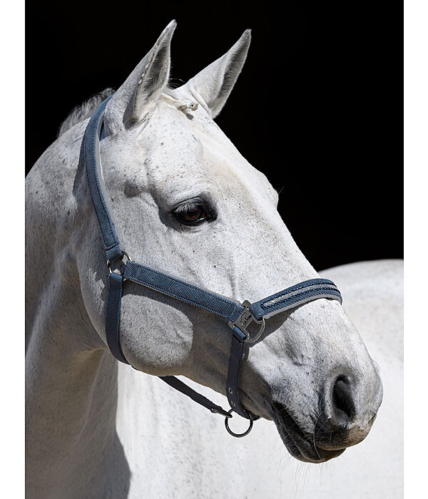 Halfter Cord & Glamour