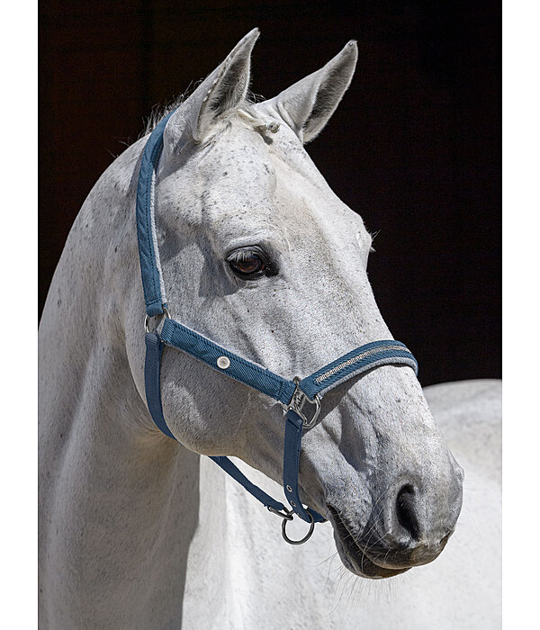 Halfter Cord & Glamour