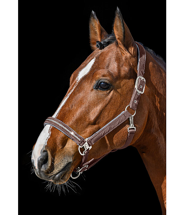Halfter Cord & Glamour