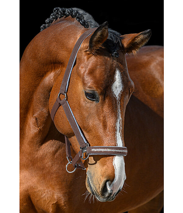Halfter Cord & Glamour
