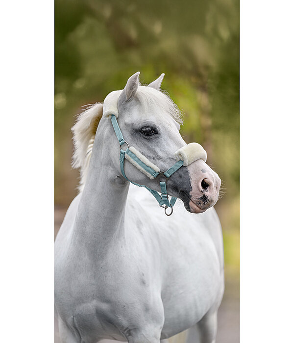 Fohlen- & Shetty-Teddyfleece-Halfter Cozy Adjustable