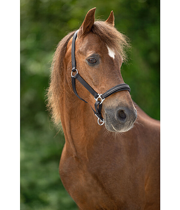 Fohlen- und Shetty-Lederhalfter Selina mit Glitzersteinen