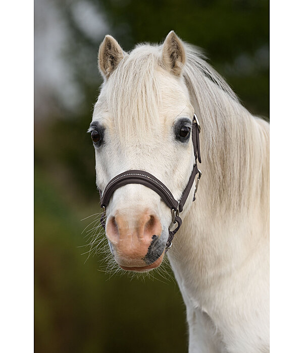 Fohlen- und Shetty-Lederhalfter Selina mit Glitzersteinen