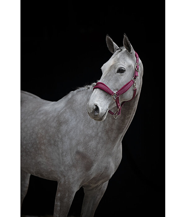 Halfter Soft Velvet