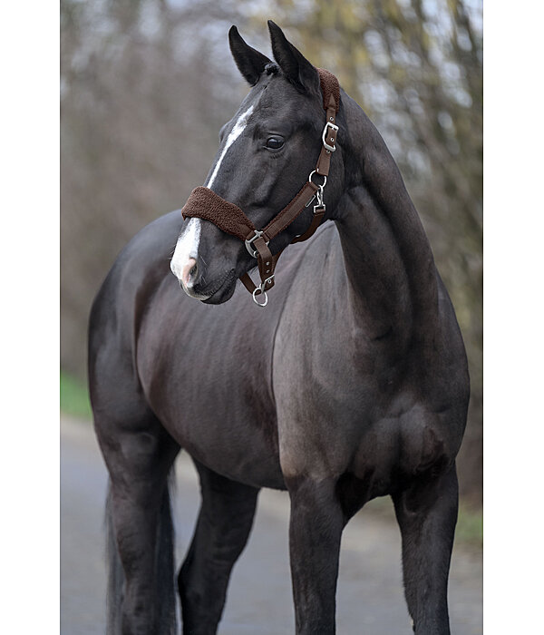 Teddyfleece-Halfter