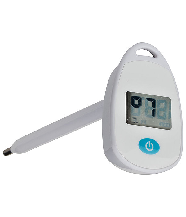 Fieberthermometer Groß