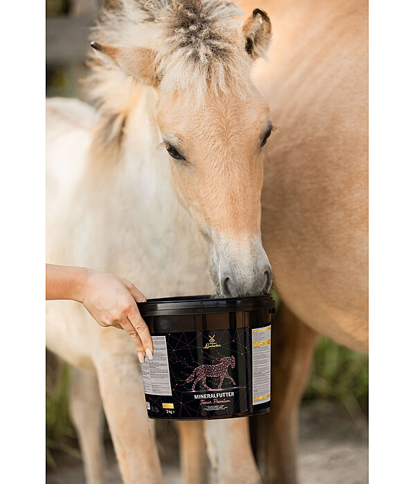 Mineralfutter Junior Premium