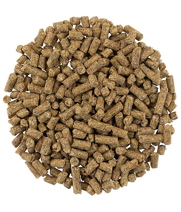 Muskelstoffwechsel Premium