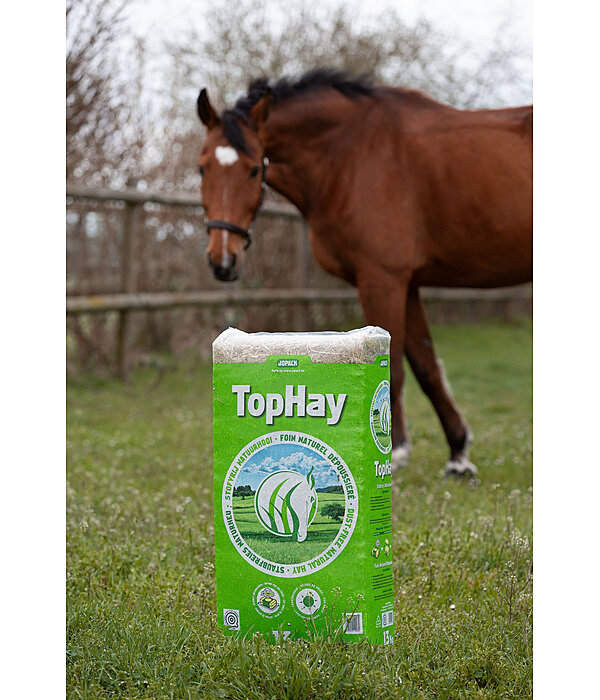 Heu TopHay