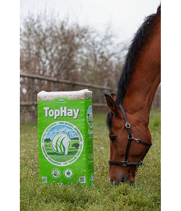 Heu TopHay