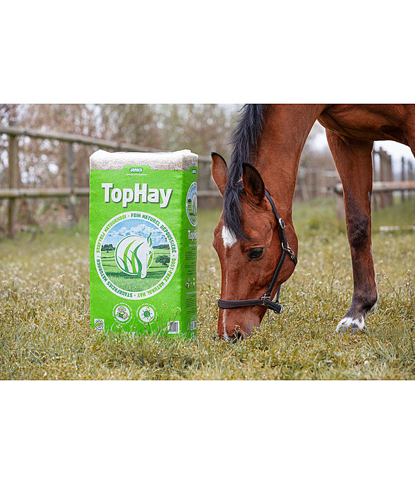 Heu TopHay