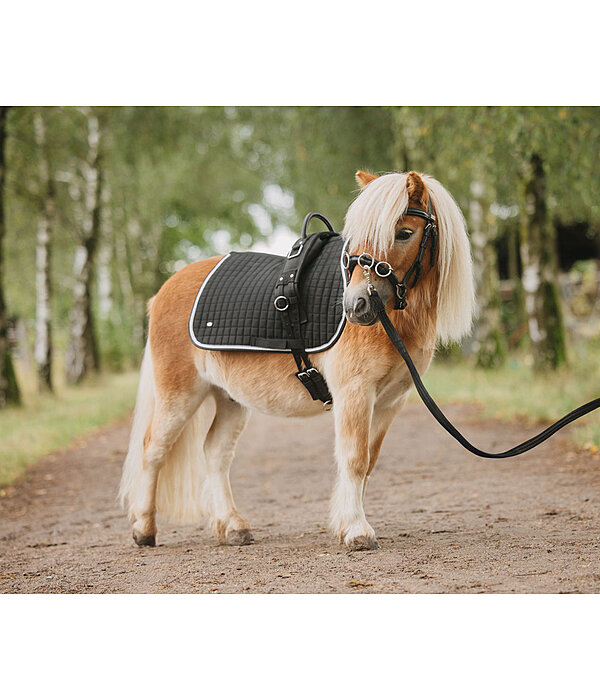 Leder-Kappzaum Soft & Light