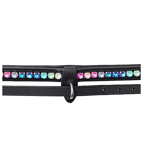 Kombiniertes Reithalfter Rainbow