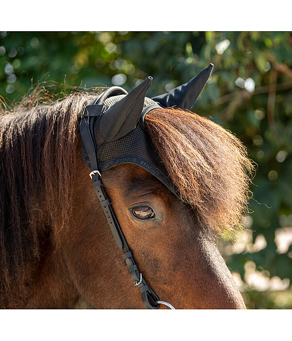 Fliegenhaube Mesh