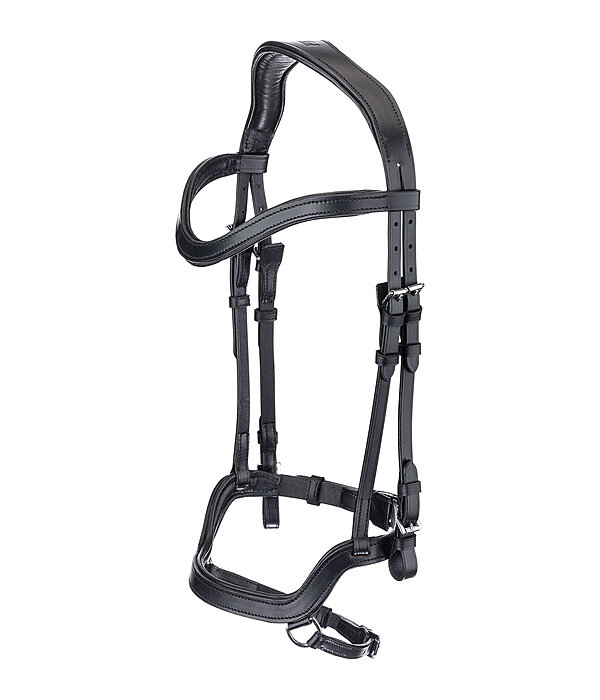 anatomisches Kopftsck  Linur