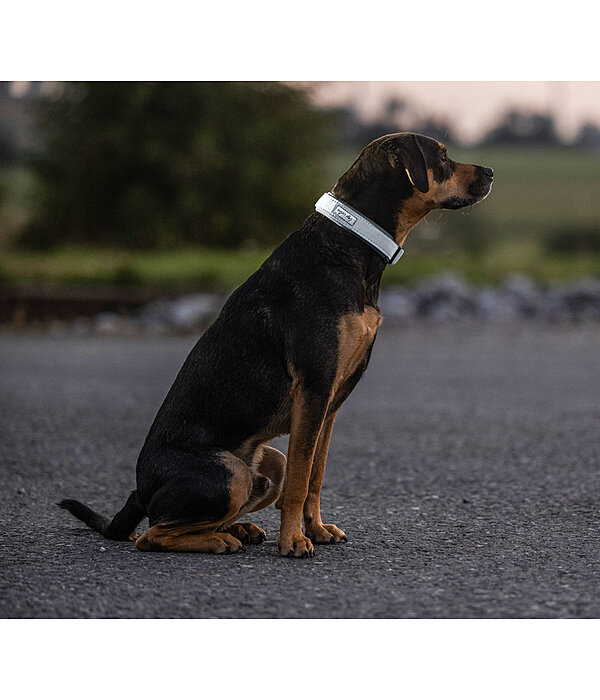 Reflex Hundehalsband