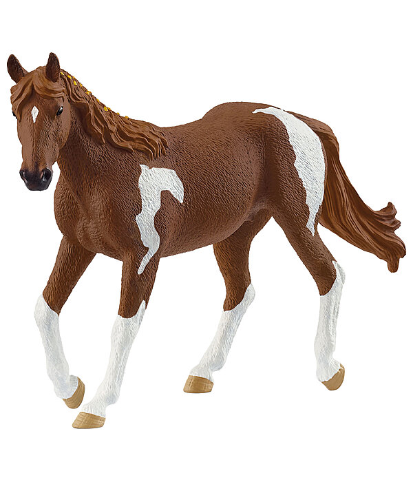 Paint Horse Stute