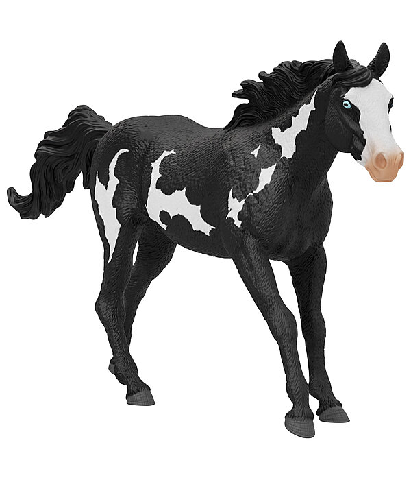 Paint Horse Wallach