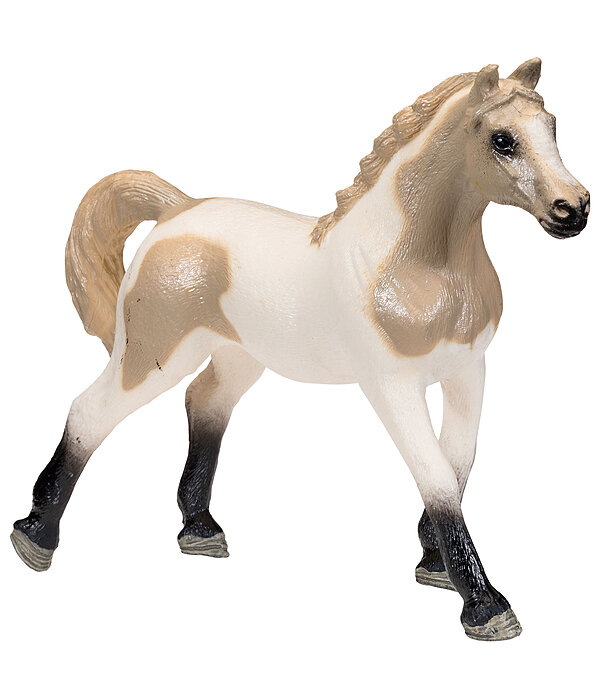 Play series Palomino-Schecke