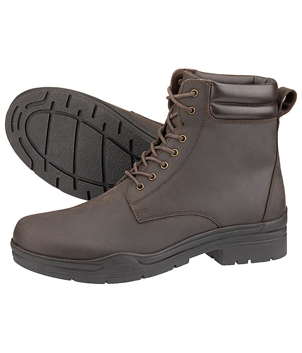 Stallschuh Bronco