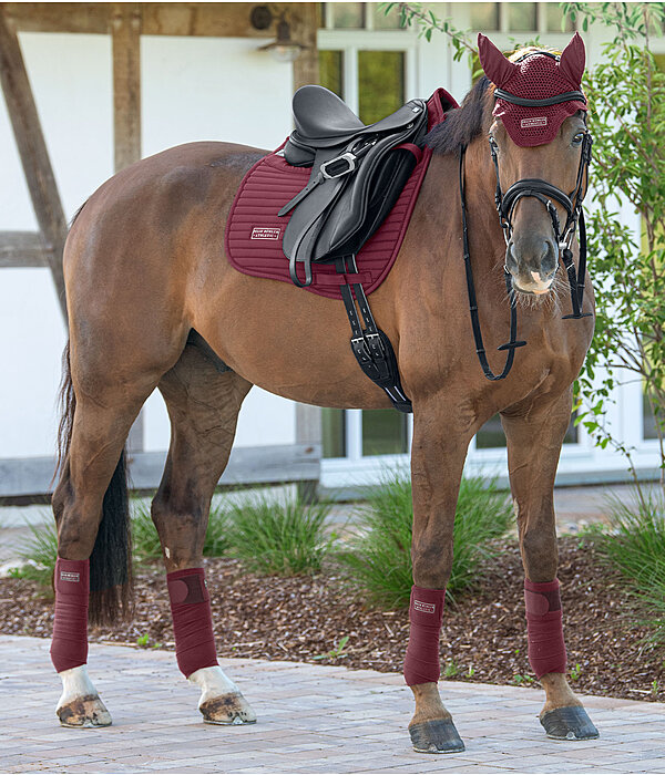 Outfit Felix Bhler Athletic in mahagoni