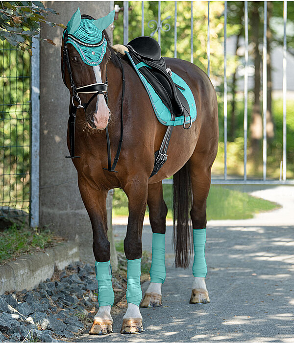 Outfit Felix Bhler Coin in aqua