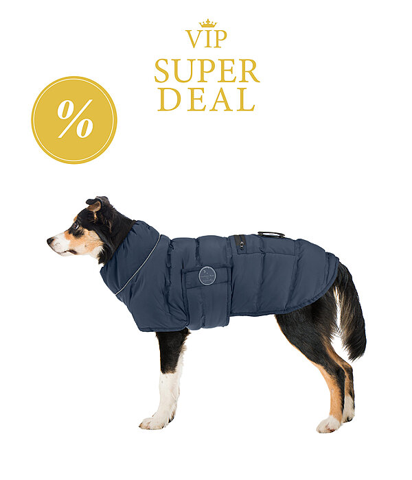 sugar dog LED-Hunde-Steppjacke Arlo, 300 g