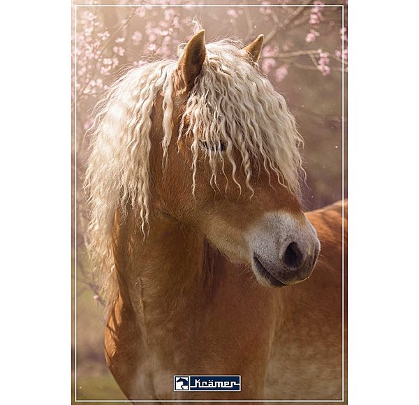 Geschenkgutschein zum Ausdrucken