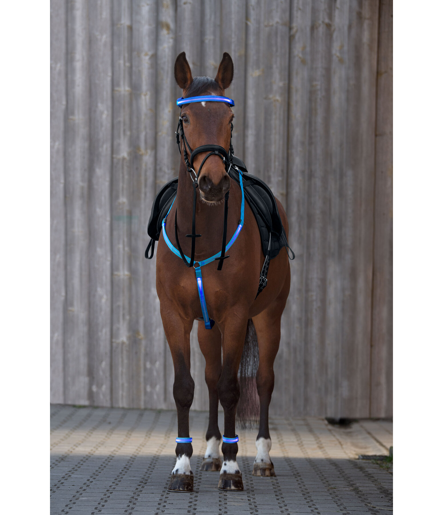 Chestnut Horse with Tack Pferde springen, Stockpferde, Schleich pferde
